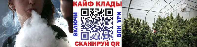 Где можно купить наркотики Дорогобуж ГАШИШ  OMG сайт  COCAIN  Мефедрон  АМФЕТАМИН  Каннабис  A PVP 