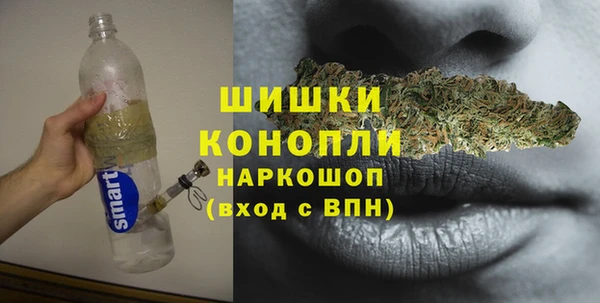 спиды Бердск